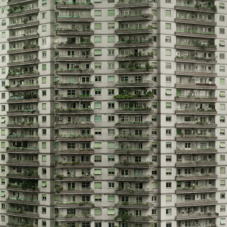 DSC_0010.jpg