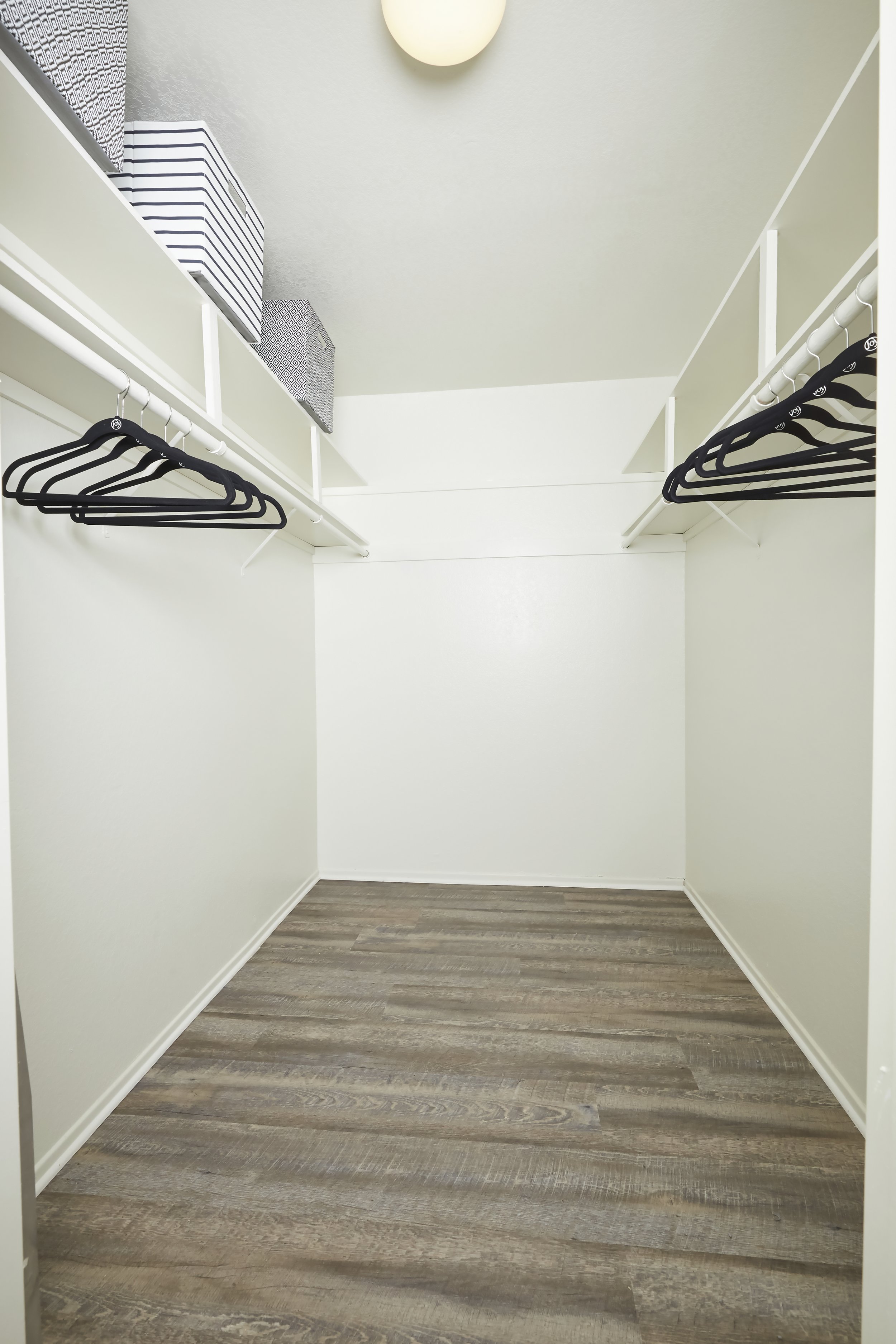  The walk-in closet with shelving above for extra storage 