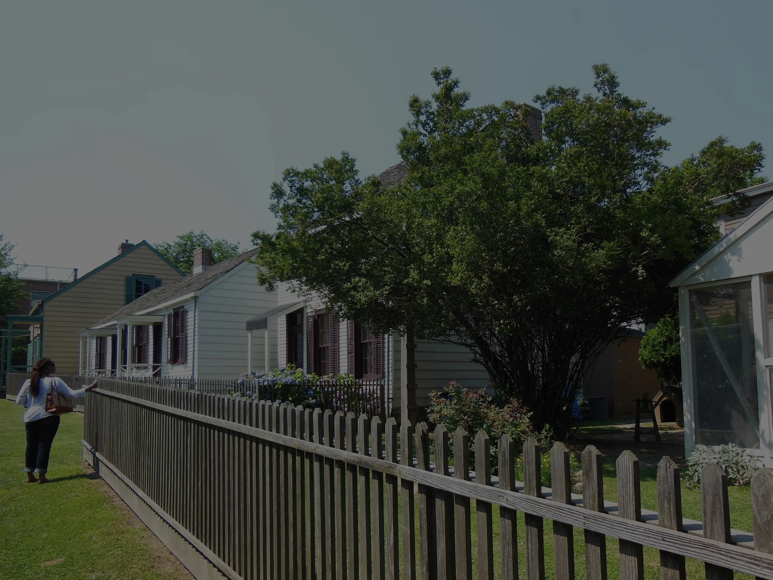 Hunterfly Road Houses Lancdscape, Weeksville Brooklyn