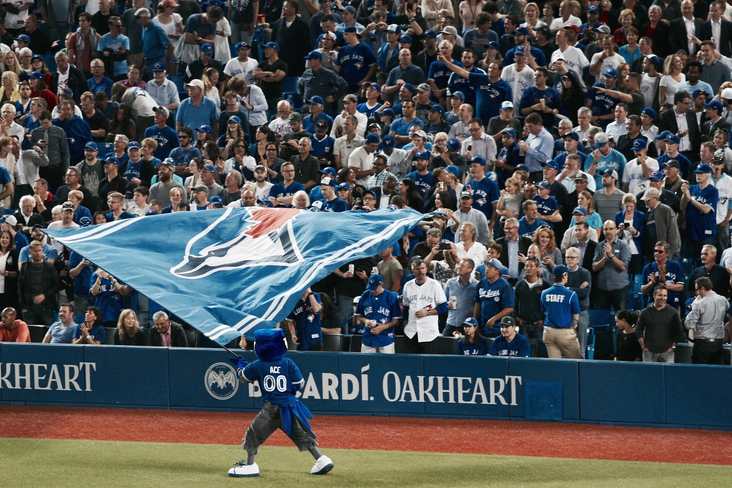 108: Jays path to postseason was anything but straight