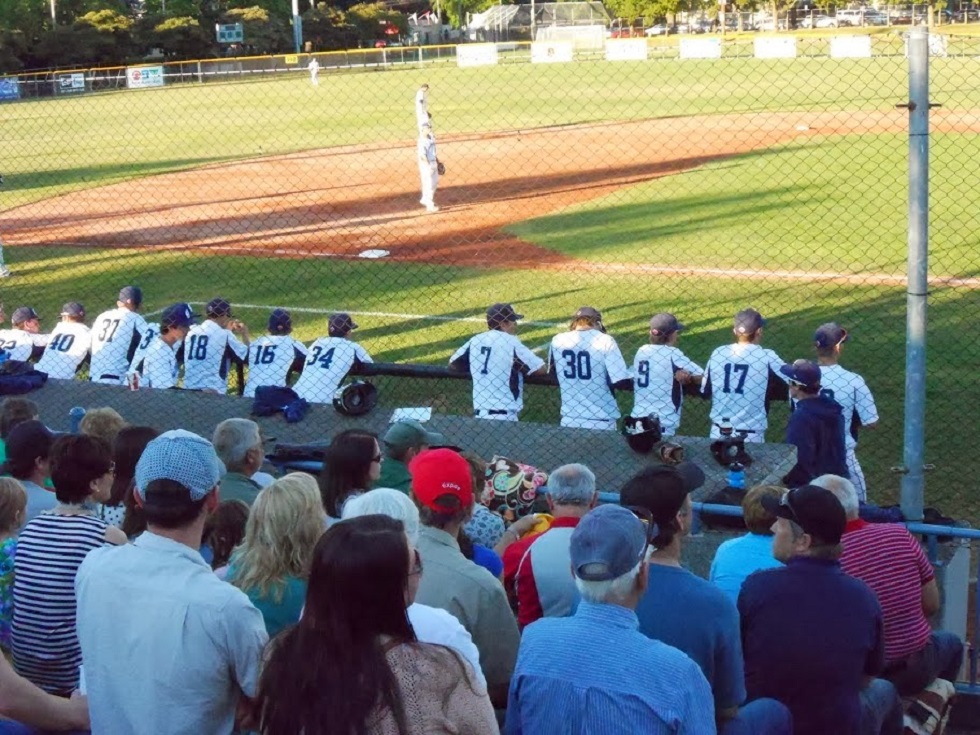 Royal Athletic Park in Victoria, BC where fans come each summer to watch the West Coast league's Victoria HarbourCats. 