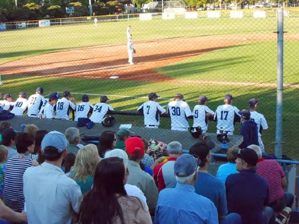 HarbourCats, Dawgs are summer time draws
