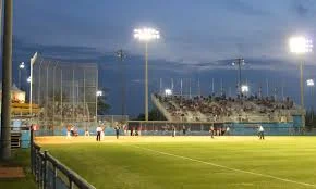 Ajax ballpark’s remediation brings back Pan Am thoughts