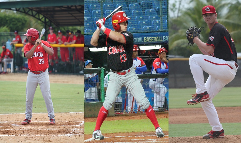 1B Josh Naylor (Mississauga, Ont.), OF Tyler O'Neill (Maple Ridge, BC) and RHP Mike Soroka (Calgary, Alta.) were ranked as top prospects in their respective organizations by Baseball America.
