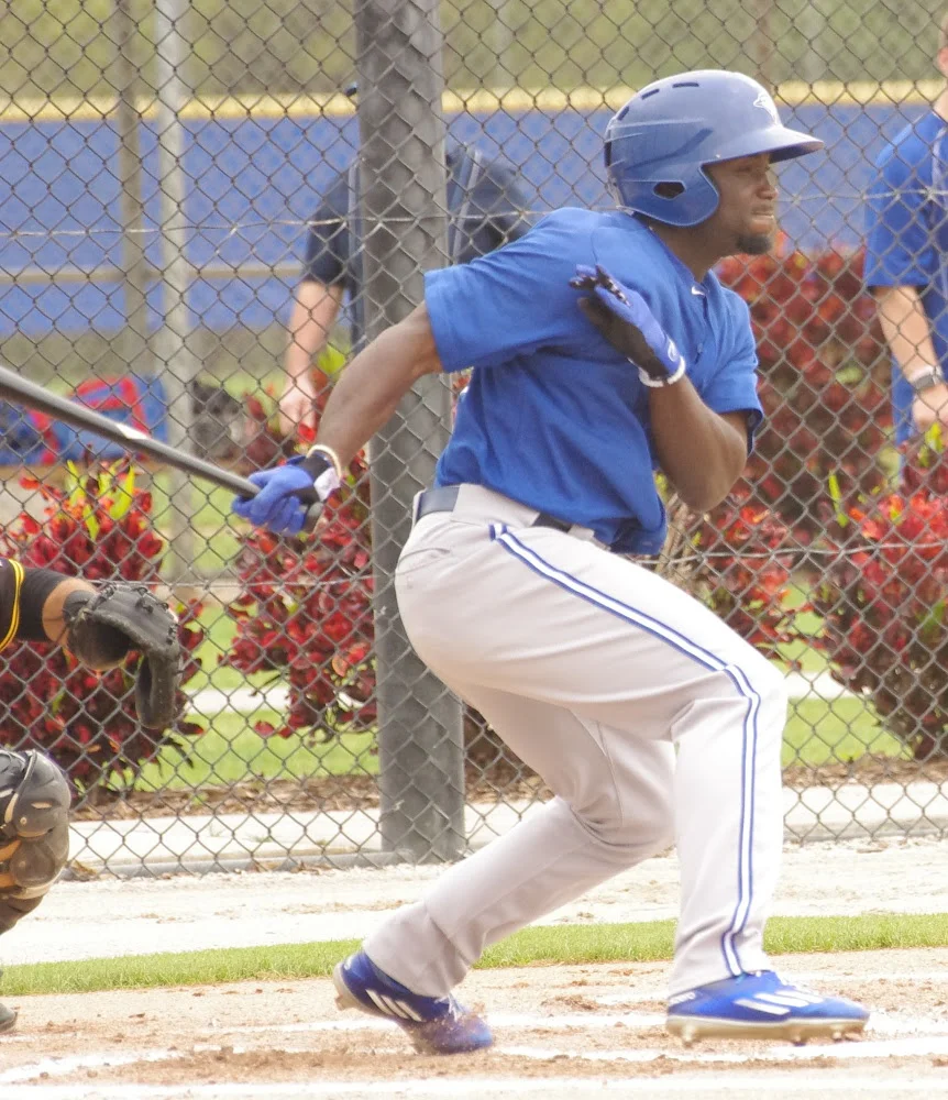 Jay Blue: Roemon Fields .... forever