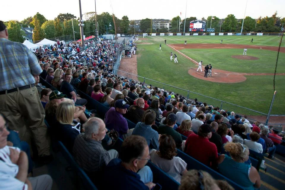 Strong start gains HarbourCats North American recognition
