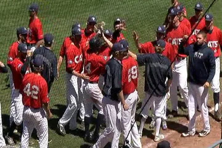 Record-breaking start for HarbourCats