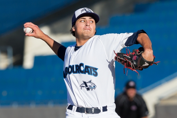 HarbourCats extend record win streak to 17