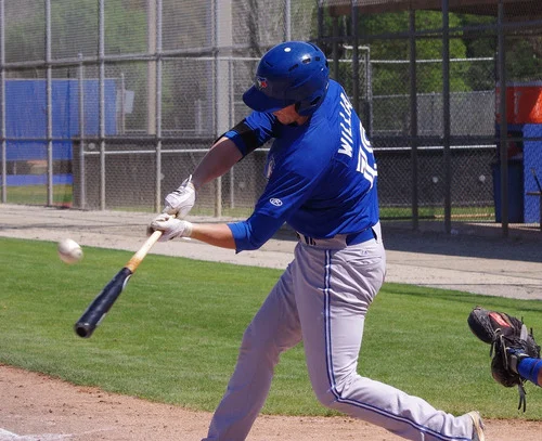 Jay Blue: Bichette, Colabello, Guzman, Knight, McBroom, Williams