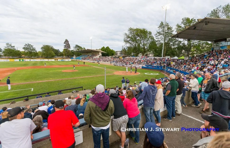 HarbourCats' record year extends to gate & standings 