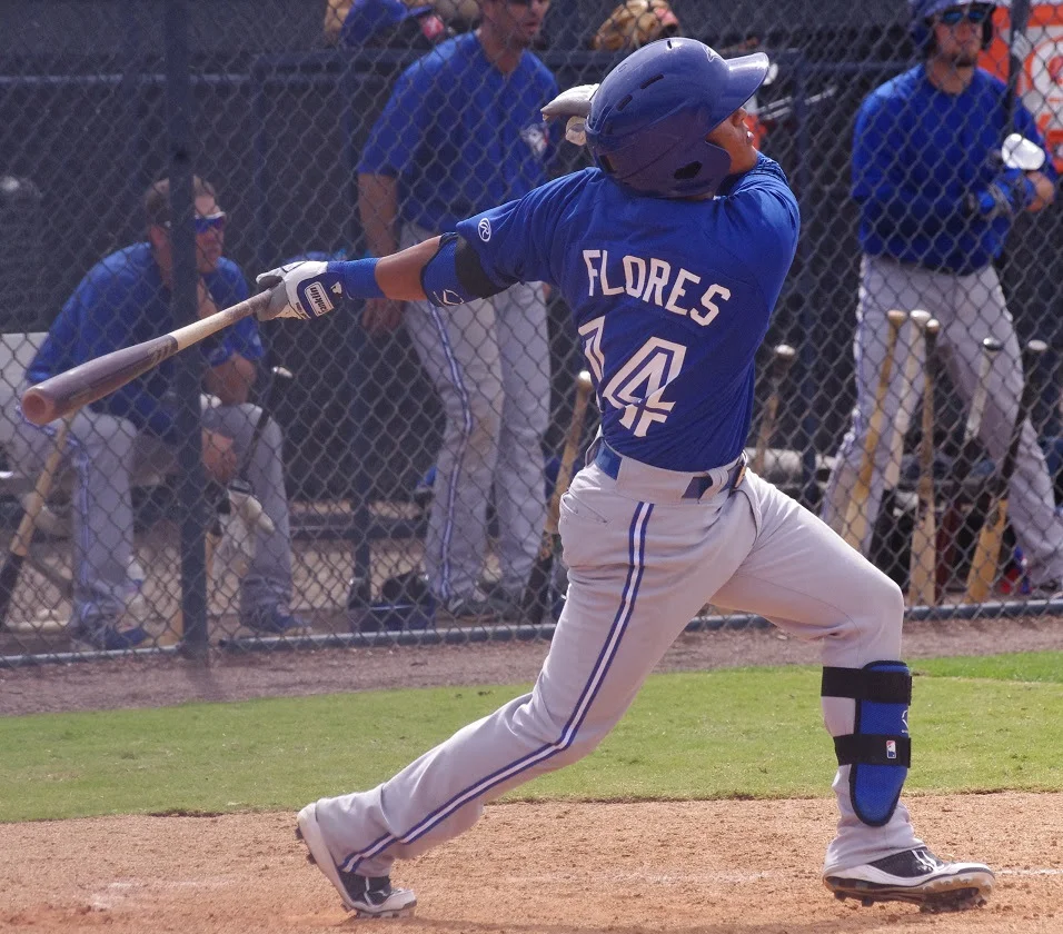 Jay Blue: Dunedin edged by Tampa in Game 3