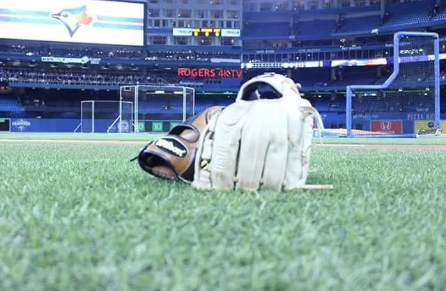 Melissa's excellent photo adventure at Rogers Centre