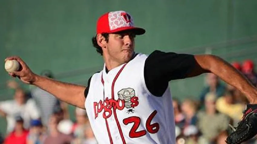 2016 Top 10 lists of Canadians in the minors 