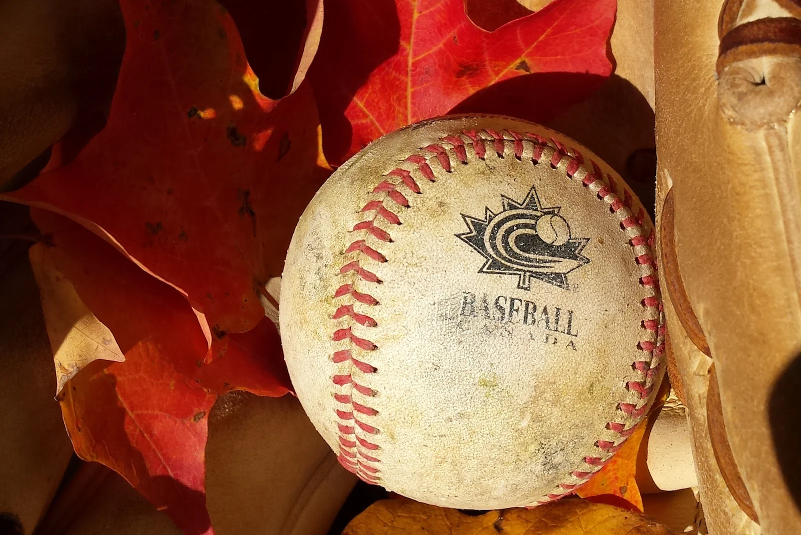 Baseball Canada 2017 Calendar of Events