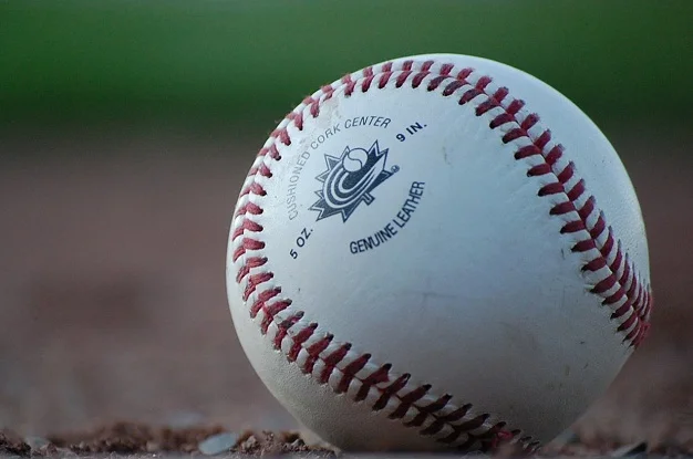 Baseball Canada is looking for a programs summer intern