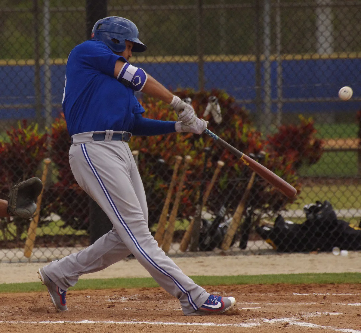 Buffalo Bisons tentative opening roster