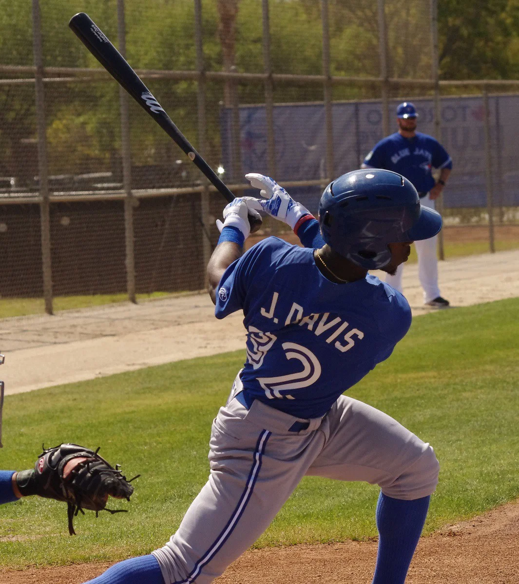 Eight Blue Jays minor leaguers to watch in 2017