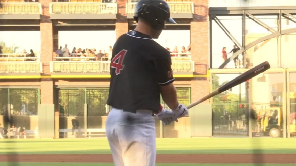 No place like home for big Chihauhua Romak