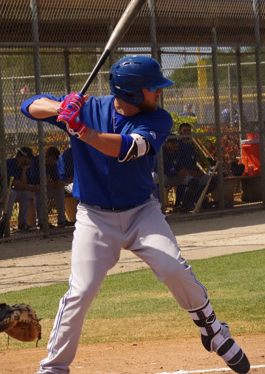 Jay Blue: Blue Jays' Minor League Batting Leaders