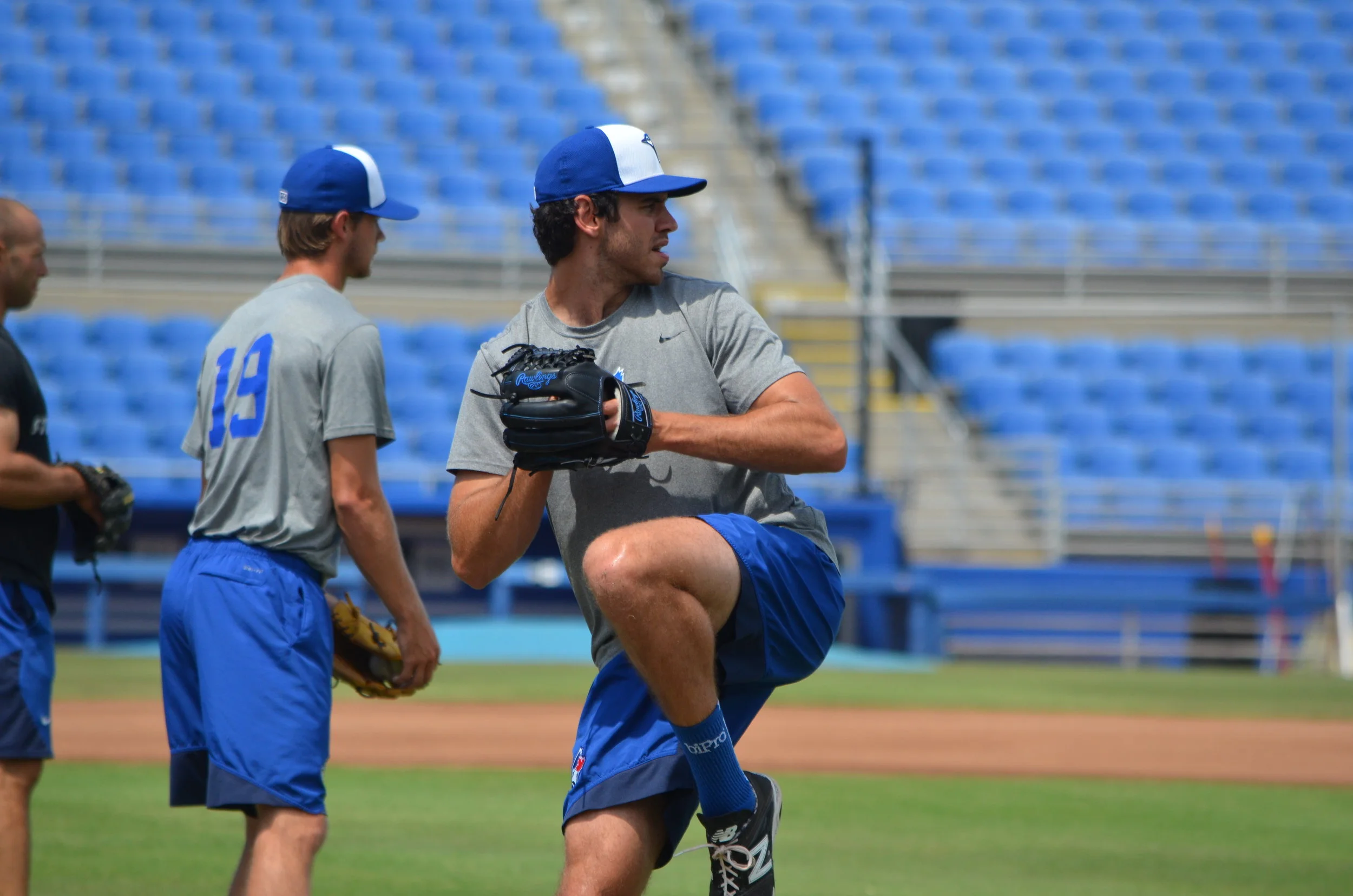 After WBC, Romano focuses on development in Dunedin