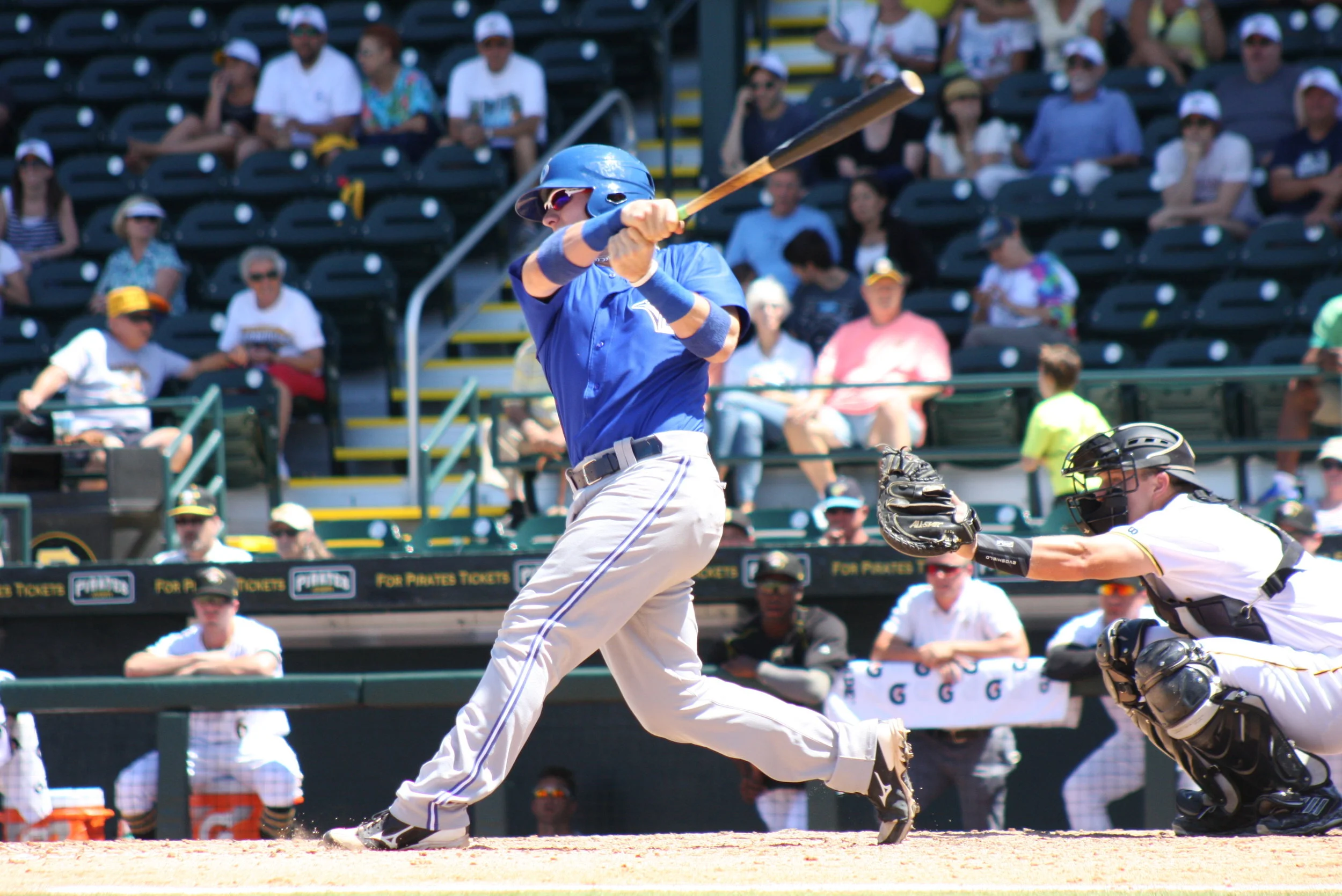 Relaxed approach paying off for Dunedin's red-hot Jansen