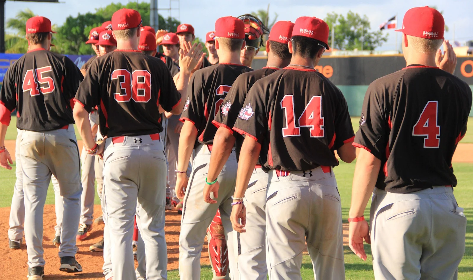 Baseball Canada selects Dominican Summer League roster