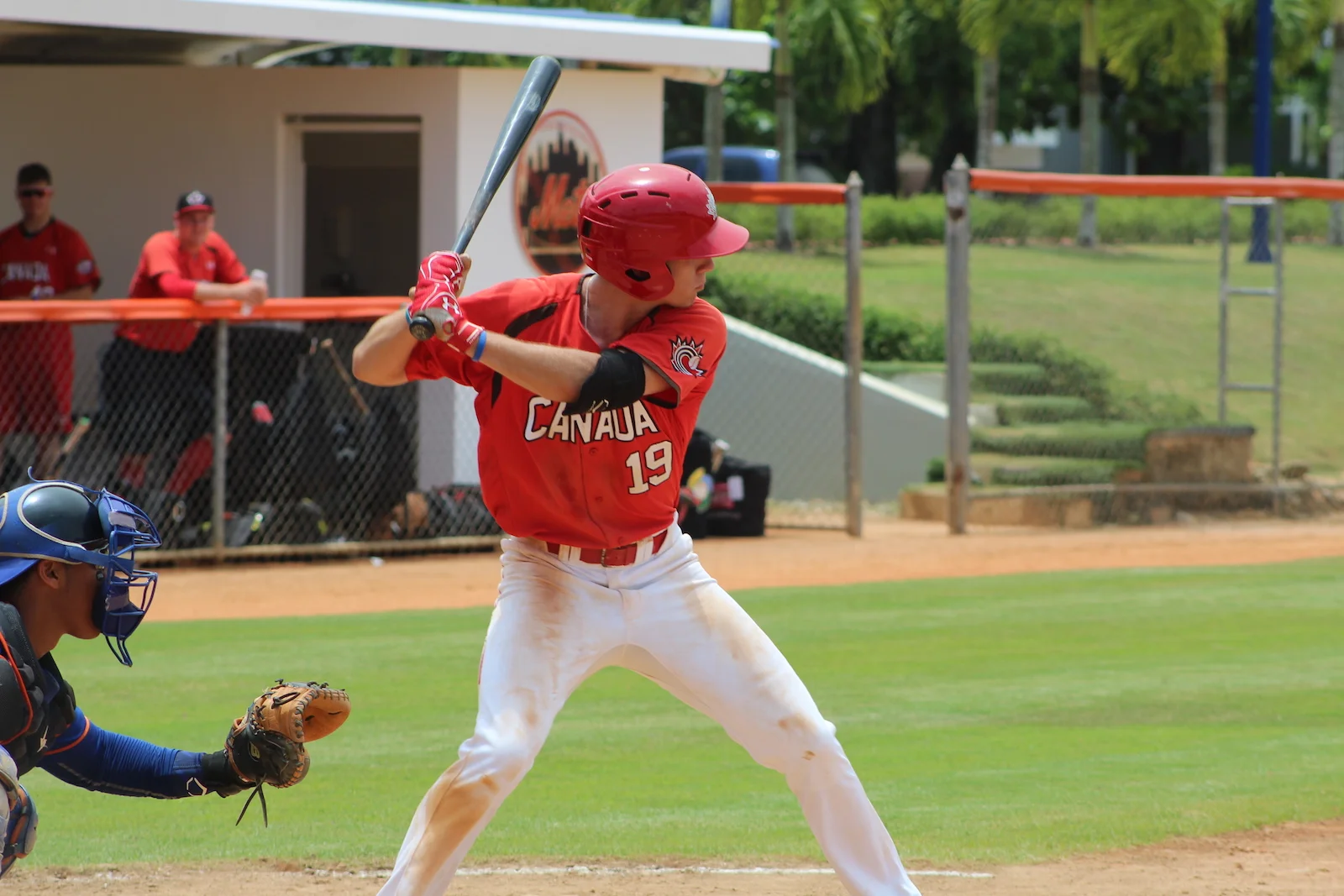 Dominican Summer loop: Mets outlast jrs, Willow, Stovman two hits each