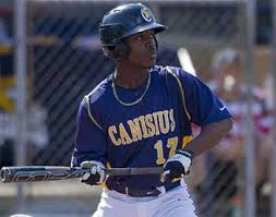 Canisius wins opener at the Falls thanks to Lumley, Senior, Wilson