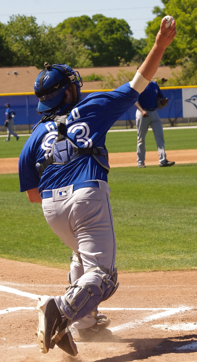 Jay Blue: Dawson, Gold, Petit, Romano
