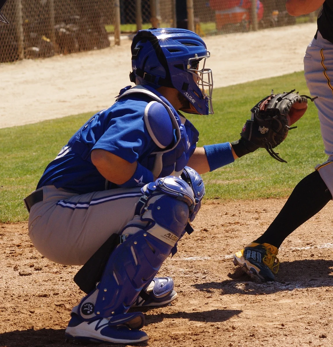 Jay Blue: Biggio, Heidt, Lizardo, Lopez, Noda, Vicuna