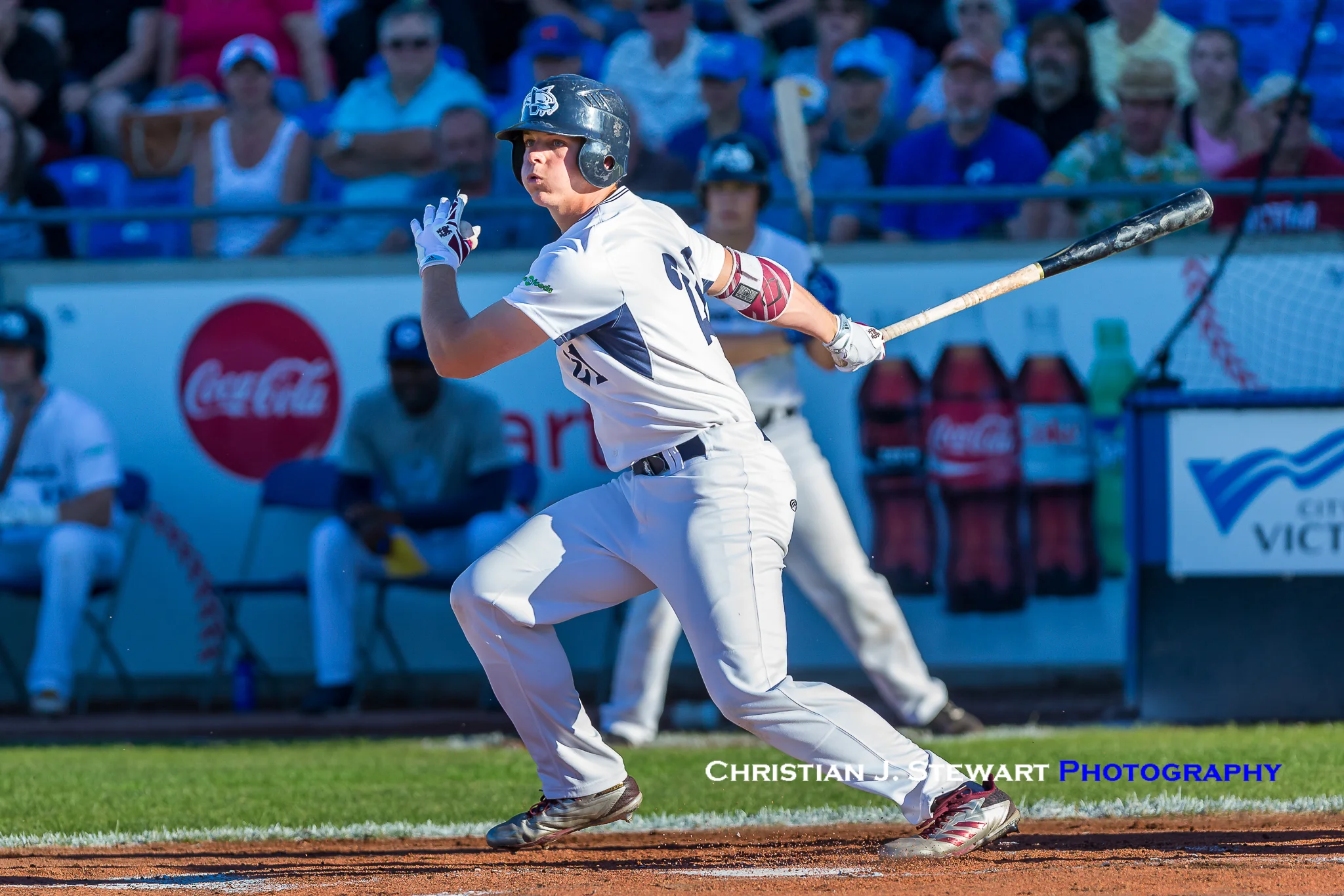Bells Power Their Way Closer to HarbourCats in WCL Division Race