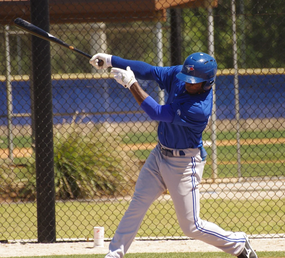 Jay Blue: Alford, Contreras, Davis, Elmore, Schneider, Spiwak, Vicuna, Vizcaino