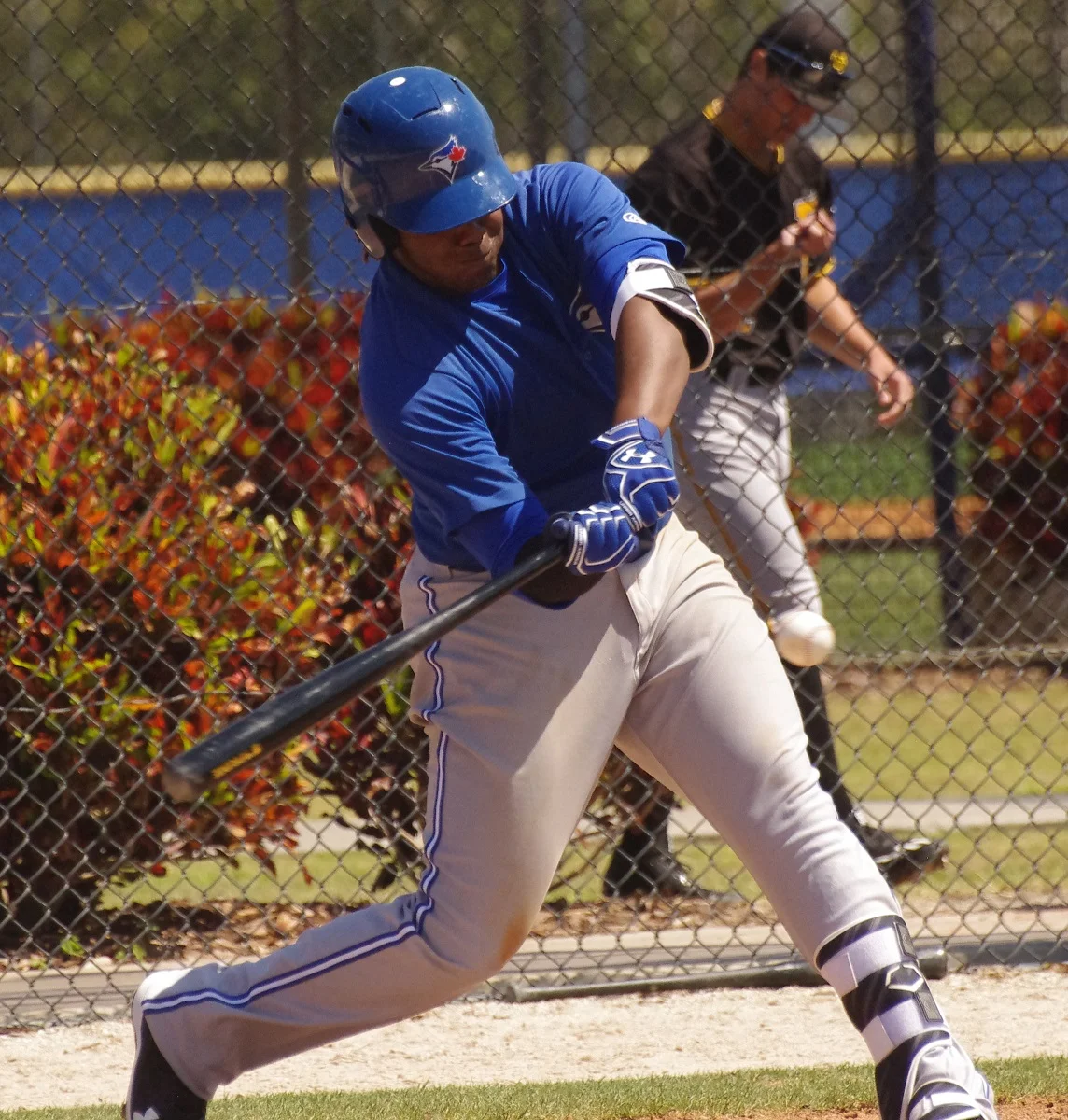 Jay Blue: Alford, Biagini, Case, Guerrero Jr., Larkins, Nunez, Saunders, Woodman