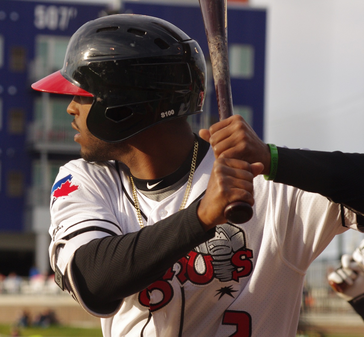 Jay Blue: Cardenas, Fuentes, Gold, Orozco, Palacios, Polizzi