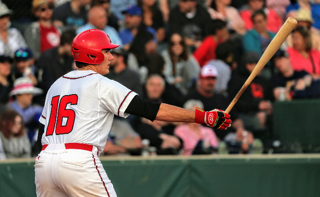 Okotoks Dawgs select summer collegiate award winners