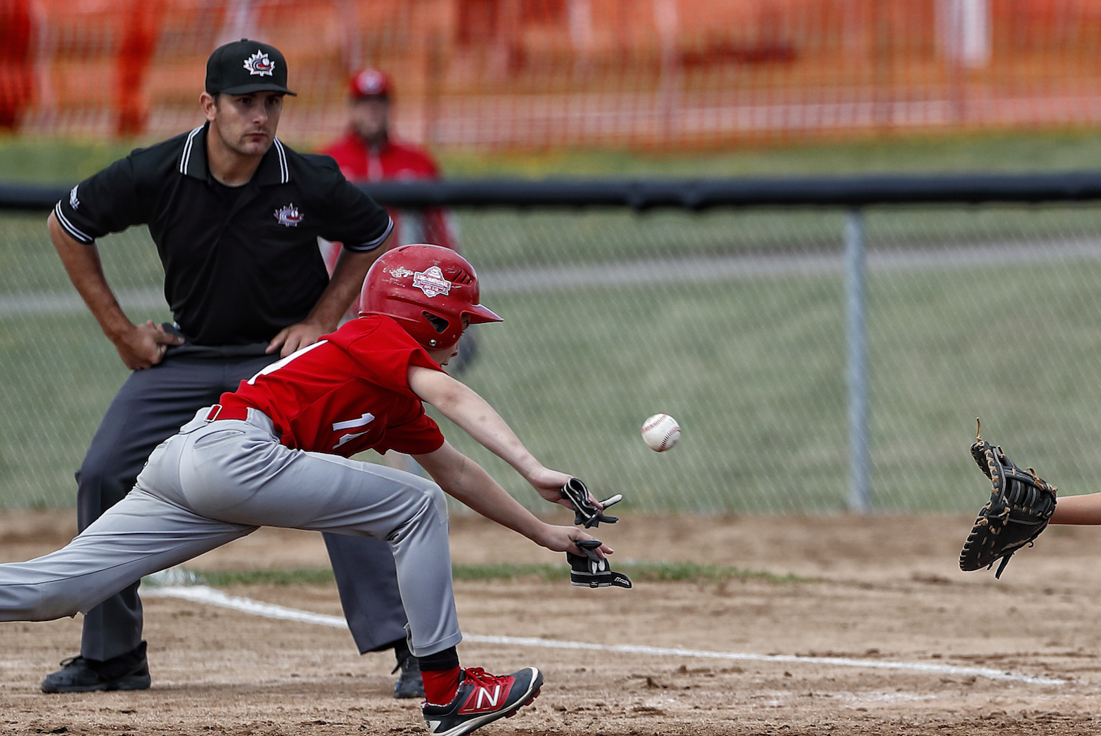 Schaefer has a summer to remember