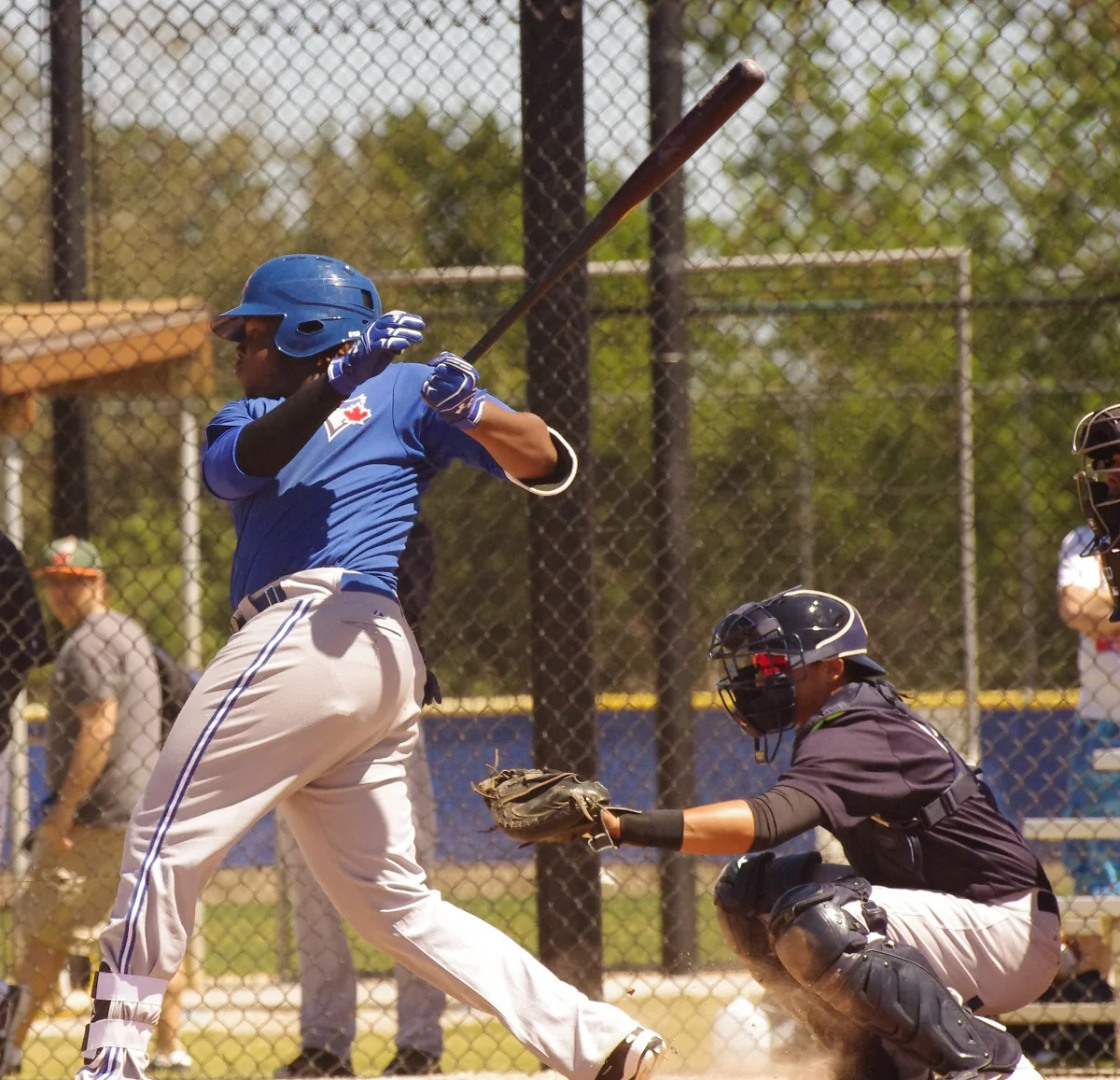 Guerrero, Bichette, Pearson top list of Blue Jays' prospects