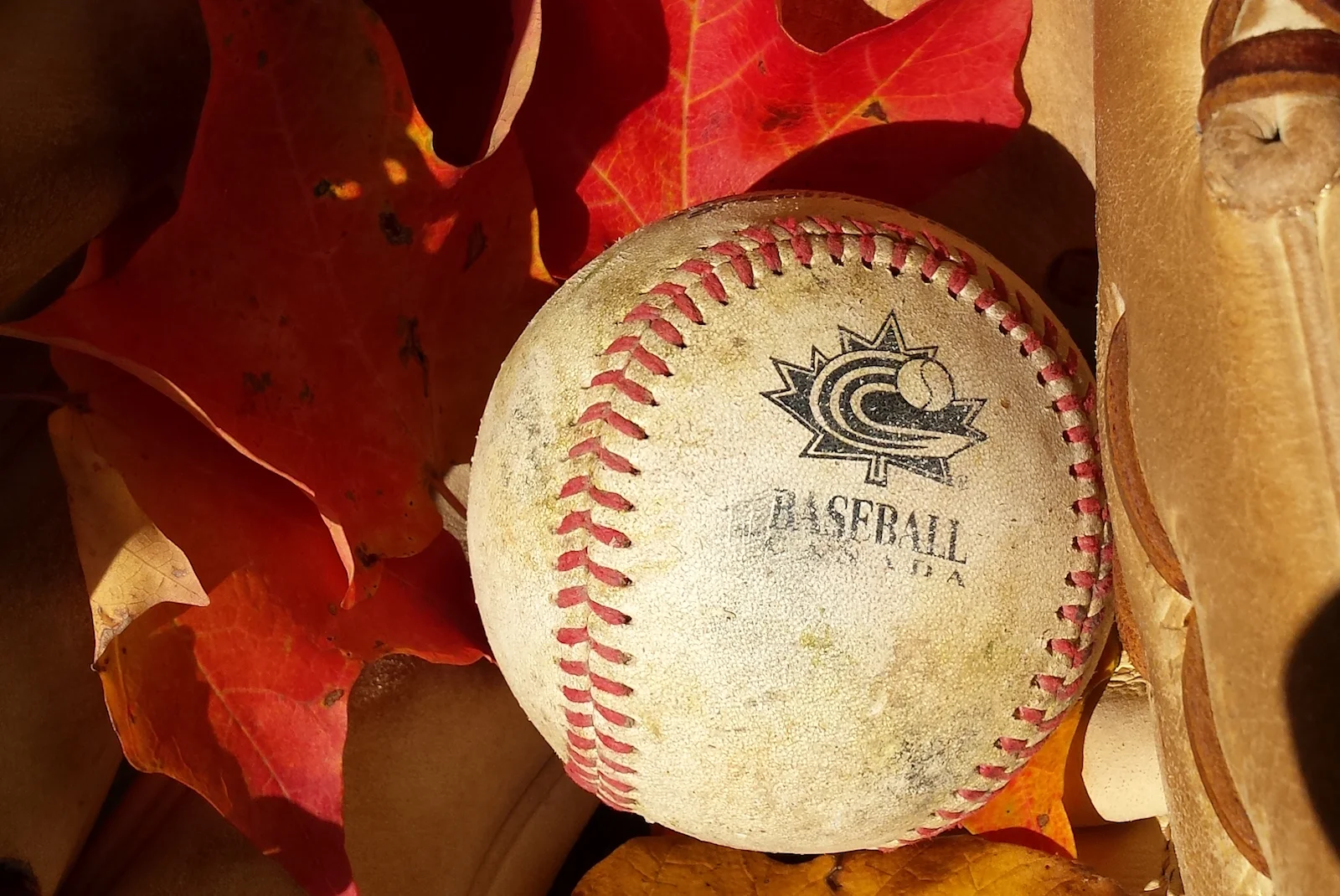 Baseball Canada Fall Meetings take place in Hamilton