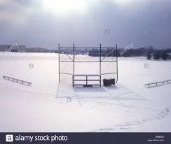 Canadian Cancer Society hosts snow ball fundraiser in Sarnia