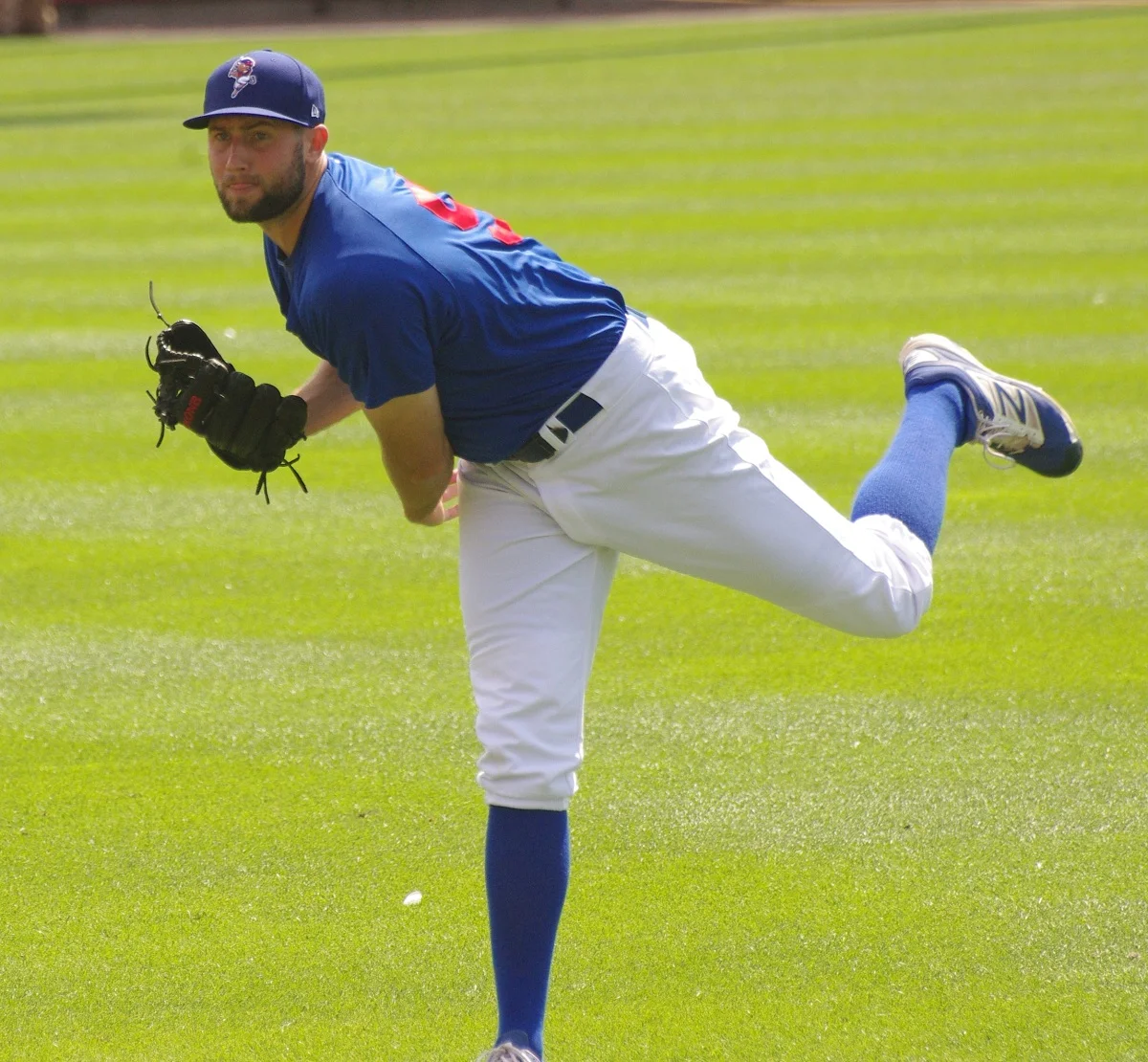 2017 Toronto Blue Jays Season Review: Tim Mayza