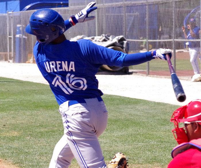2017 Toronto Blue Jays Season Review: Richard Urena