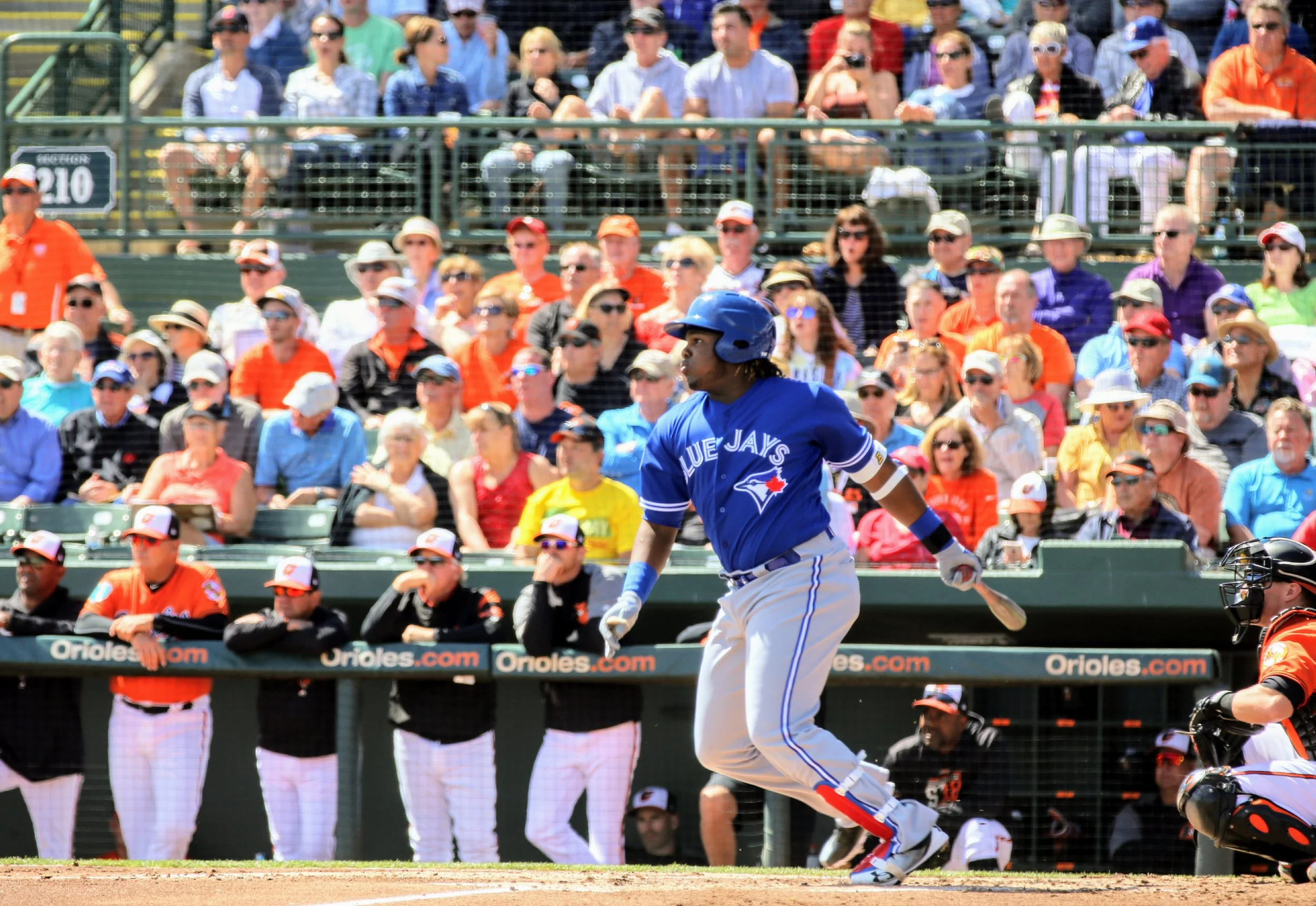 Amanda's album - Jays vs. Orioles - March 8