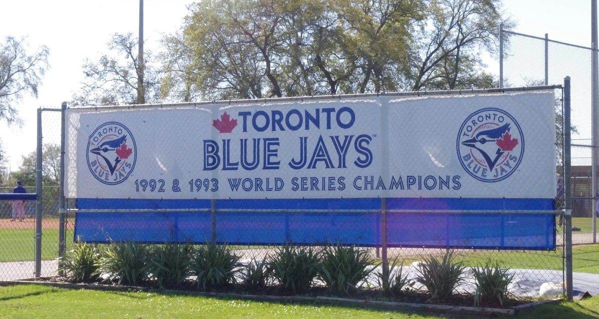 Eight levels: A profile of the Blue Jays' minor league teams