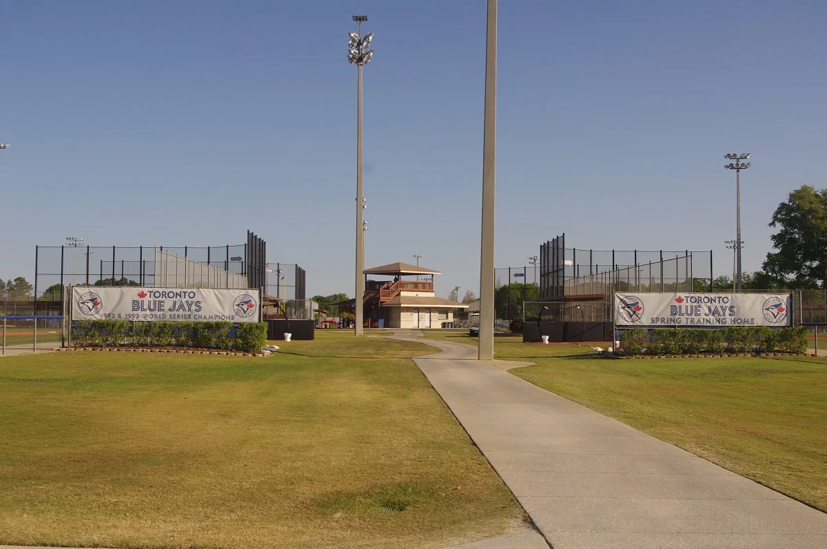 Eight Levels: The Gulf Coast League Blue Jays