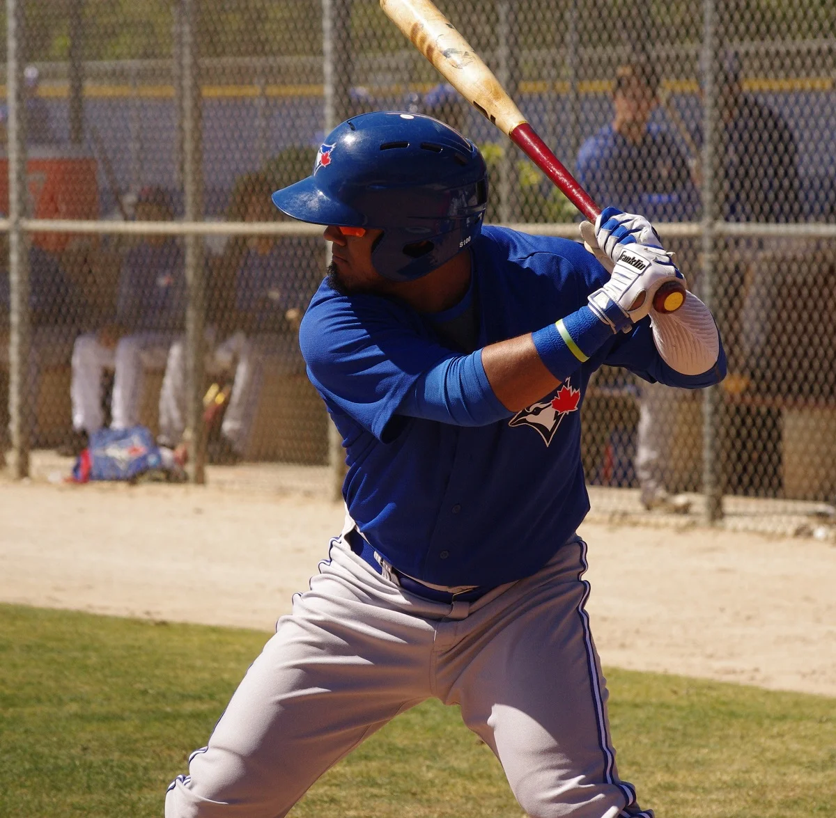 Jay Blue: Biggio, Clemens, Guerrero Jr., Pinto, Pruitt, Tellez