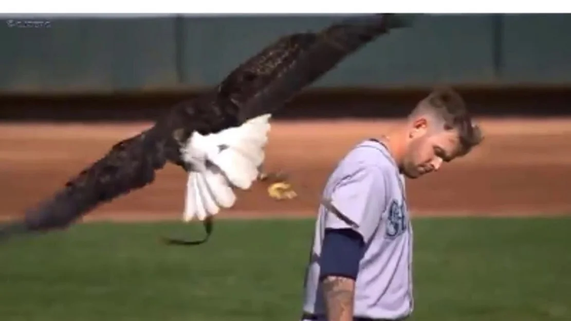 Could Paxton unseat Votto to win Tip O’Neill?