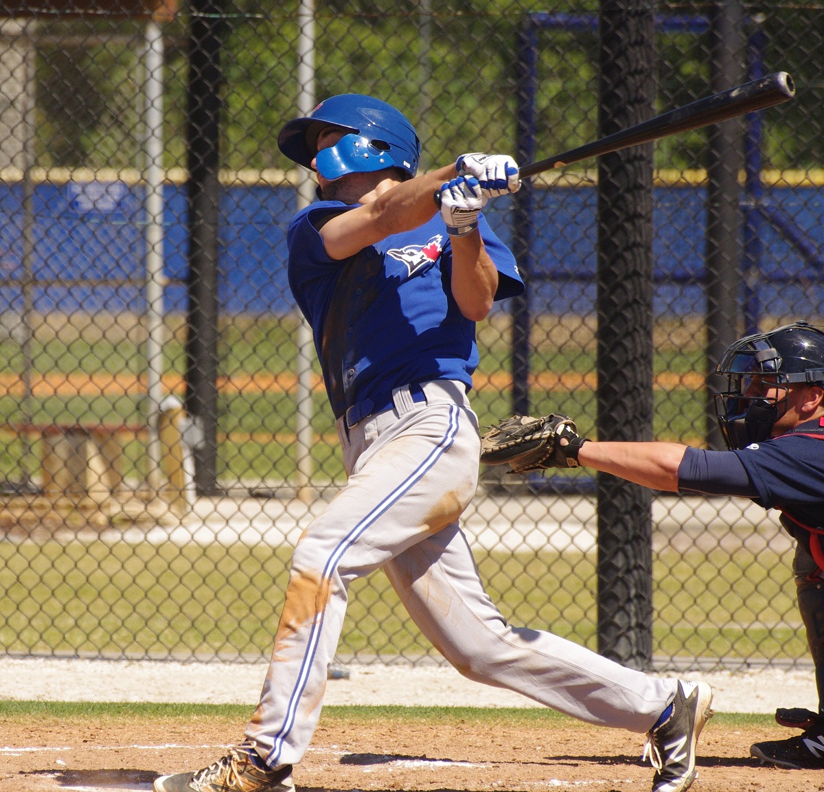 Jay Blue: Galva, Groshans, Kirwer, Panas, Urena, Young