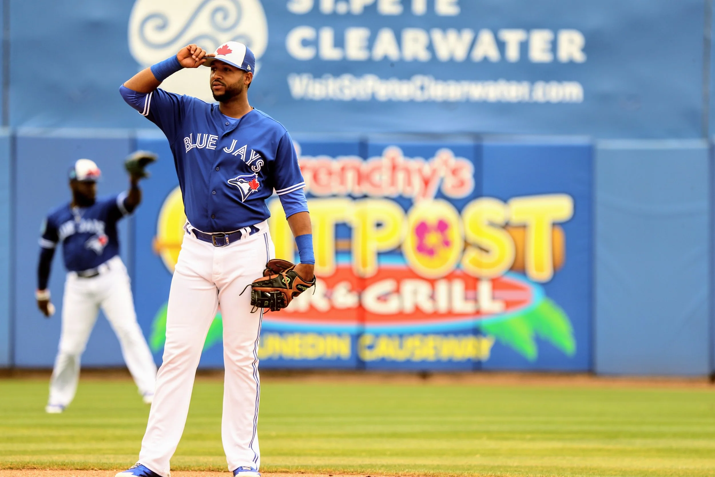 Blue Jays call up Urena