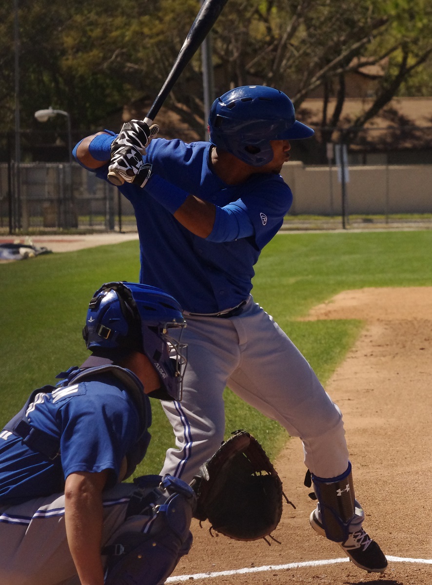 Jay Blue: Guerrero, Guzman, Kirwer, Panas, Spanberger, Young, Zeuch