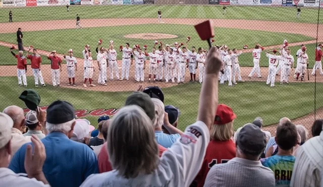 Dawgs rank third in summer collegiate attendance